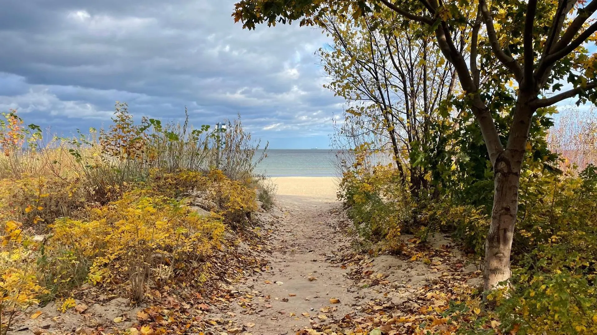 Blisko Plazy Lägenhet Sopot